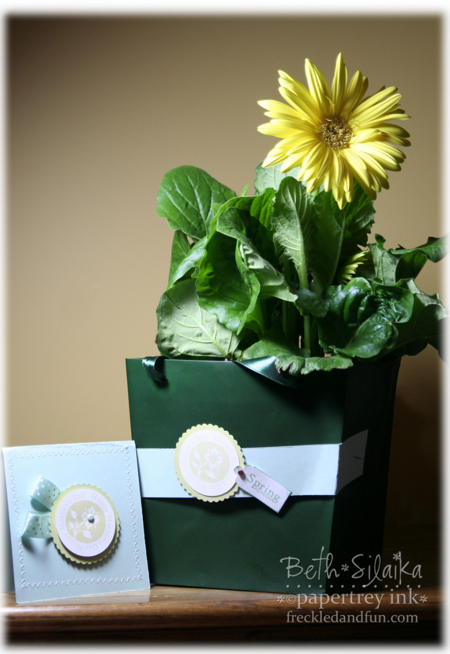 The gift set:<br />
<br />
http://freckledandfun.blogspot.com/2009/05/fs118-debbie.html