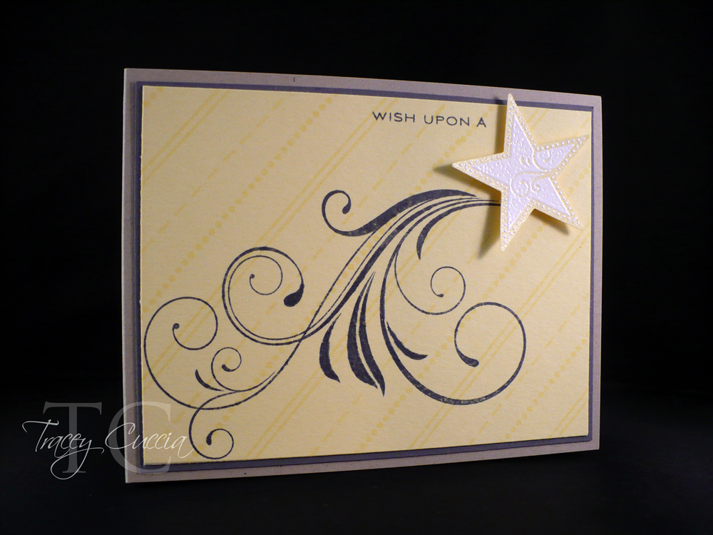 my project for the blog hop this month...another using the Fancy Flourishes and Star Prints