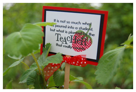 For some of my children's teacher's I gave them each a Strawberry plant with some...