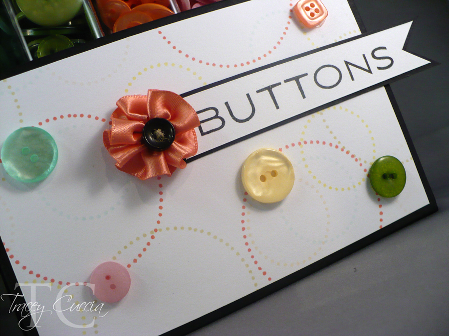 Close up of front panel for button storage