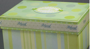 Baby Egg Box Closed