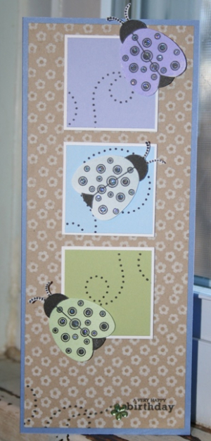 Ladybug Birthday