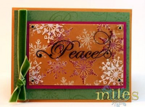 Winter Peace