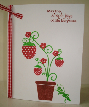 cards 163