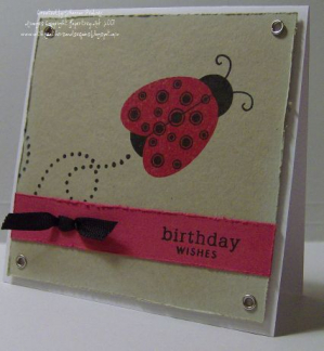 FS Ladybug CASE