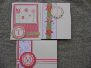 PTI set by Nicole S pinks