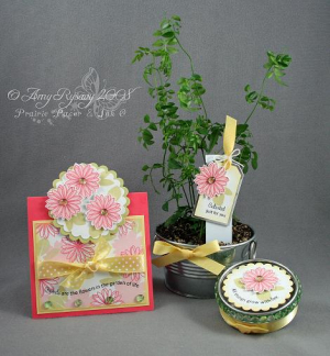 Amy Rysavy - Growing Gift Ensemble