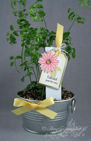 Amy Rysavy - Potted Plant with Matching Tag