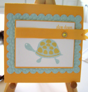 pti turtle