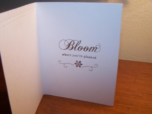 Bloom