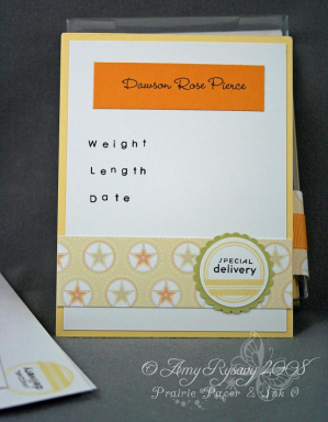 Amy Rysavy - Baby Announcement Card Closeup