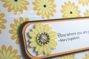 close up of flower and button