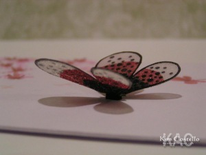Butterfly glitters close