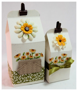 Large and Petite Carton side by side