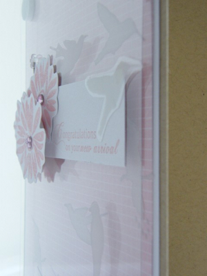 2009_0712clearbirds0003