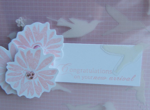 2009_0712clearbirds0002