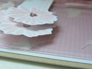 2009_0712clearbirds0010