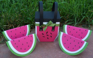 watermelon box and matching notecards