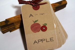 Flashcard Mini Book Cover