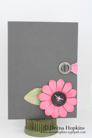 All Boxed Up (Smokey Shadow & Hibiscus Burst)