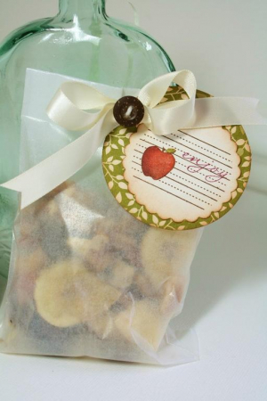 Apple Enjoy treat bag