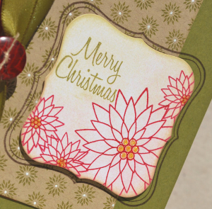 Poinsettia Close Up