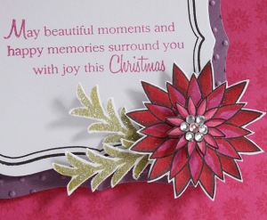 Peaceful Poinsettia Close-Up