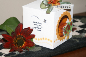 Seeds of Friendship - side