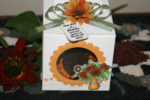 Seeds of Friendship - top/tag