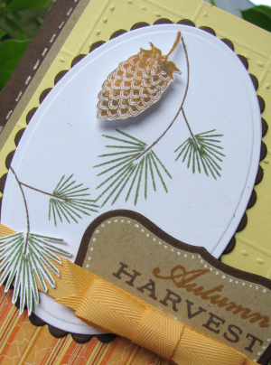 Pinecone closeup
