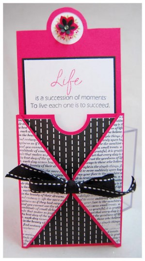 #3 Pretty Ink Pink insert