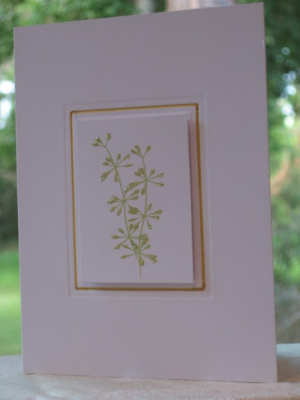 Life sprigs with gold border