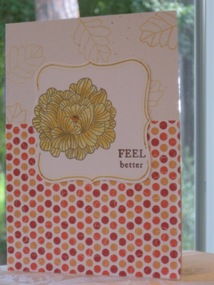 Autumn In Bloom Feel Better