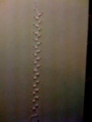 added on to add to forum