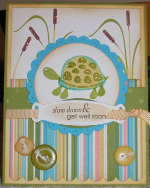 Get Well Turtle