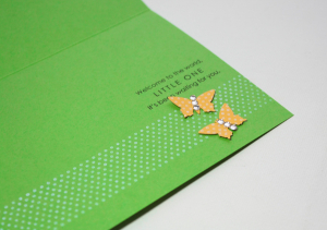 Butterfly Baby inside