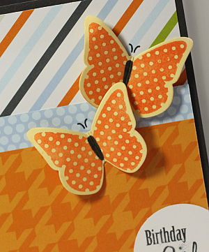 Lisa Johnson - Butterfly Dreams