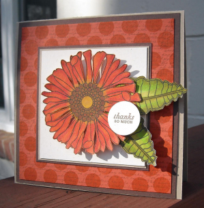 GSS Best Use of Previous Set - Kim Schofield