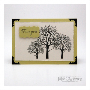 Julie Cameron Feb GSS