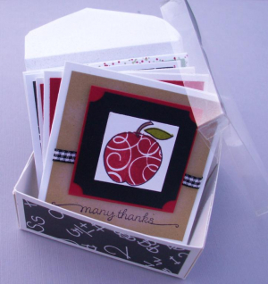 cds teach box