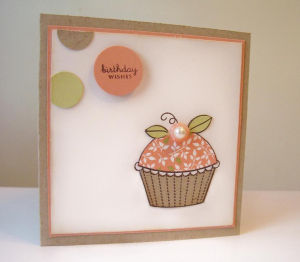 PTI Heather's Colors