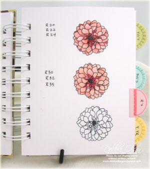 Sweet Blush and Berry Sorbet