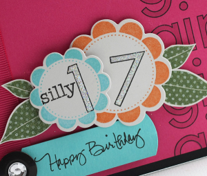 Silly 17 Birthday detail