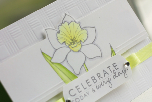 Lisa Johnson - Year of Flowers: Daffodils