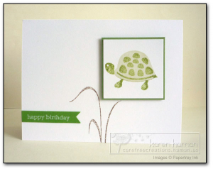Turtle Day