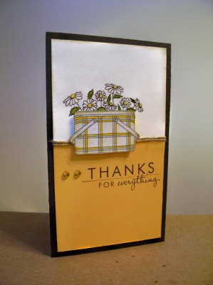 CC260, Sunny Daisies