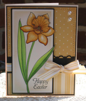 Easter Daffodil
