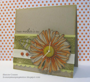 cards 005