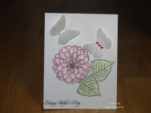 Tissue Paper Card