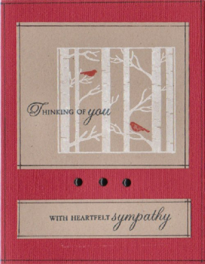 scrappydeb's PTI projects